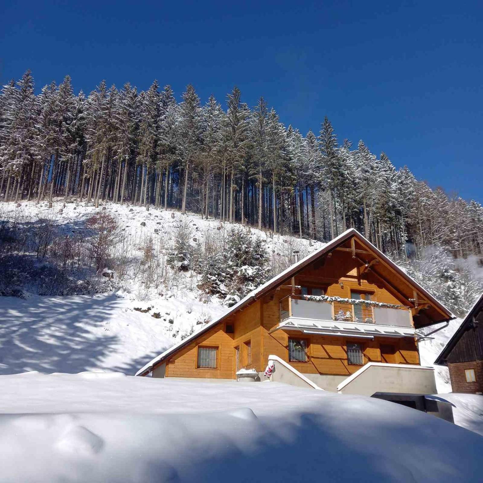 Hisa Lunna - Apartments In A Forest Paradise Vitanje Exterior photo